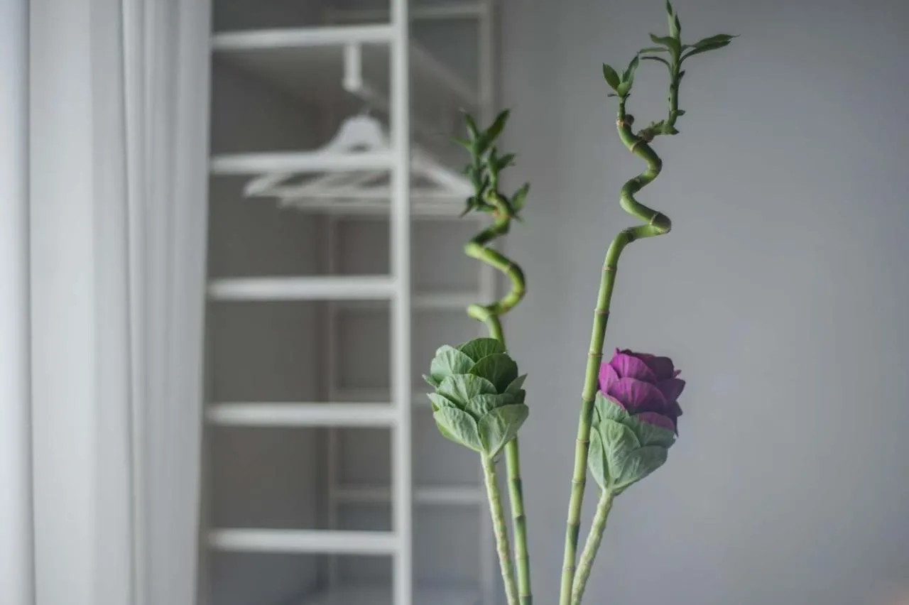 Bed & Breakfast Medusa Chiaia 164 Naples