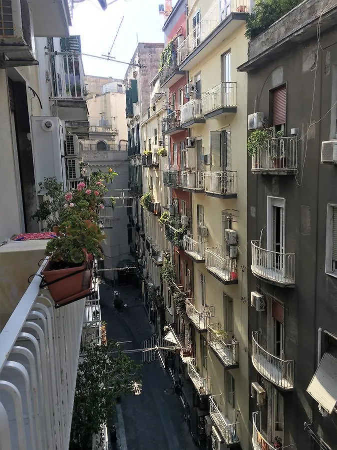 Bed & Breakfast Medusa Chiaia 164 Neapol